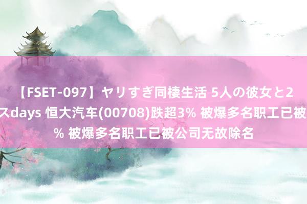 【FSET-097】ヤリすぎ同棲生活 5人の彼女と24時間セックスdays 恒大汽车(00708)跌超3% 被爆多名职工已被公司无故除名