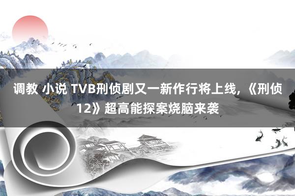 调教 小说 TVB刑侦剧又一新作行将上线， 《刑侦12》超高能探案烧脑来袭