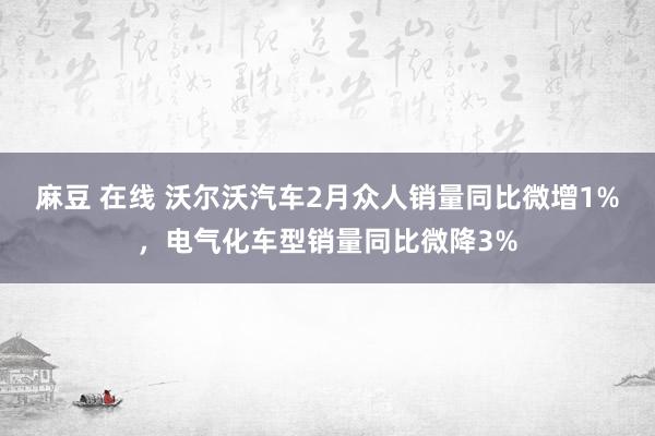 麻豆 在线 沃尔沃汽车2月众人销量同比微增1%，电气化车型销量同比微降3%